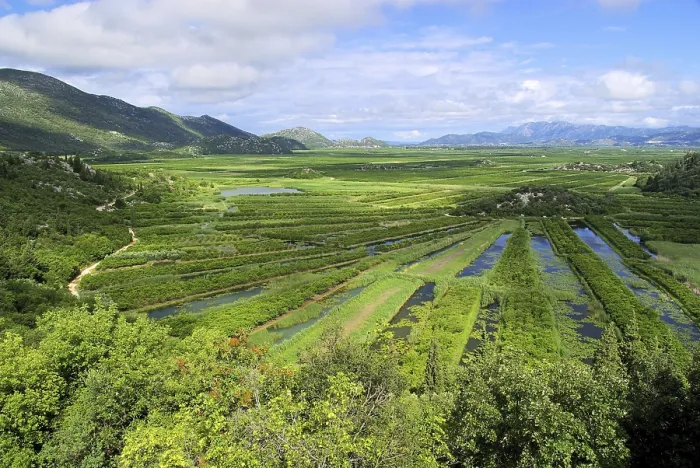 Gerahmter Druck : Neretva-Delta Gerahmter Druck : Neretva-Delta