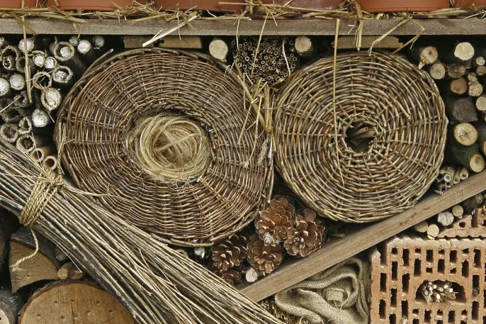 Gerahmter Druck : Wildbienen-Nisthilfen Gerahmter Druck : Wildbienen-Nisthilfen