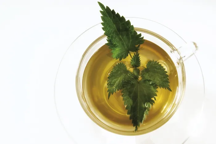 Gerahmter Druck : Nettelpfannkuchen in einem Teeglas Gerahmter Druck : Nettelpfannkuchen in einem Teeglas