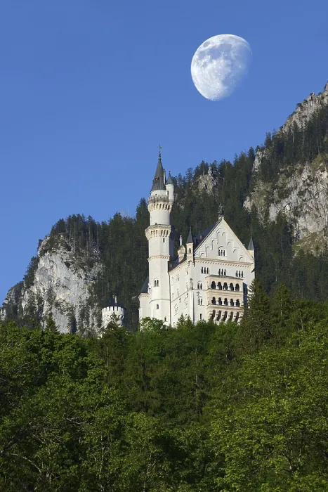 Gerahmter Druck : Schloss Neuschwanstein bei Mond. Gerahmter Druck : Schloss Neuschwanstein bei Mond.
