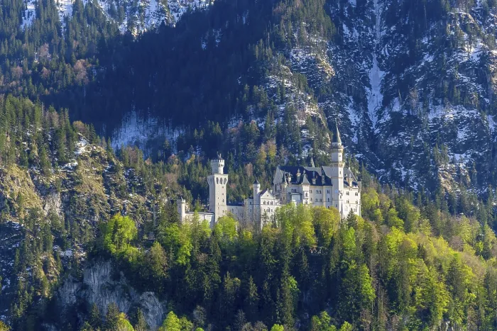 Gerahmter Druck : Schloss Neuschwanstein im Frühling.