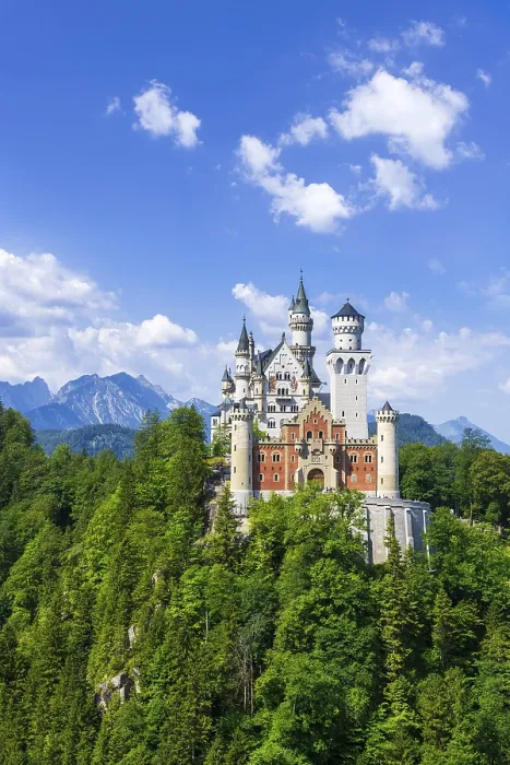 Gerahmter Druck : Schloss Neuschwanstein im Sommer. Gerahmter Druck : Schloss Neuschwanstein im Sommer.