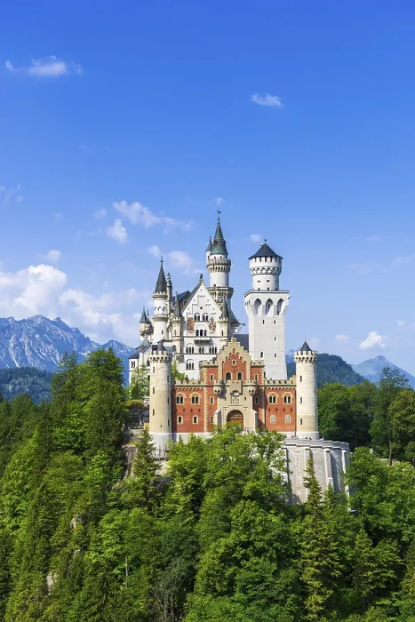 Gerahmter Druck : Schloss Neuschwanstein im Sommer. Gerahmter Druck : Schloss Neuschwanstein im Sommer.