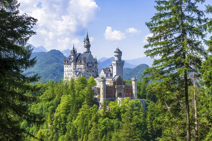 Gerahmter Druck : Schloss Neuschwanstein im Sommer Gerahmter Druck : Schloss Neuschwanstein im Sommer
