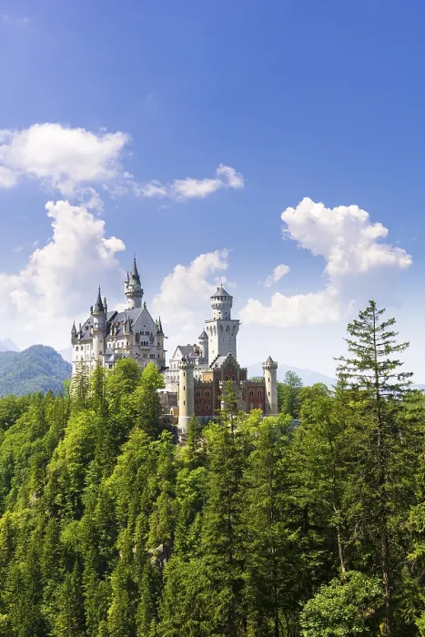 Gerahmter Druck : Schloss Neuschwanstein im Sommer. Gerahmter Druck : Schloss Neuschwanstein im Sommer.