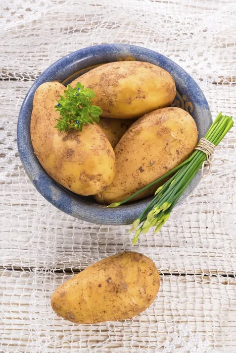 Gerahmter Druck : Neue Kartoffeln Gerahmter Druck : Neue Kartoffeln