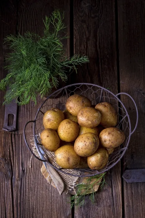 Gerahmter Druck : Neue kleine Kartoffeln.