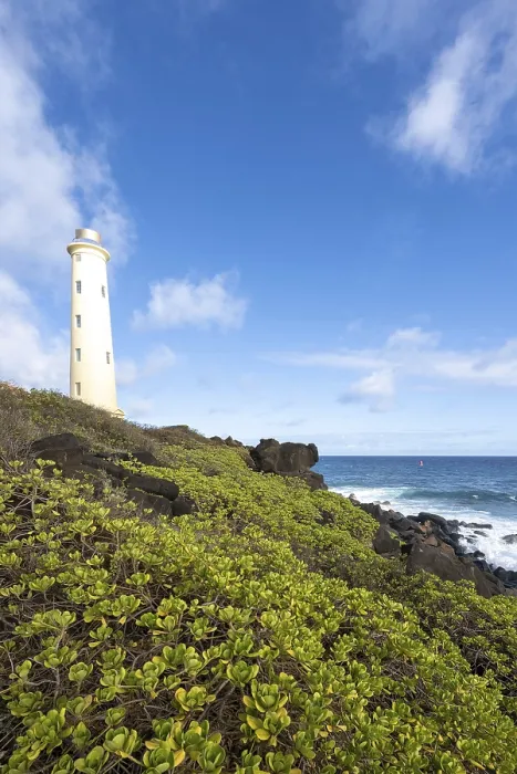 Gerahmter Druck : Ninini Point Leuchtturm, Lihue Gerahmter Druck : Ninini Point Leuchtturm, Lihue