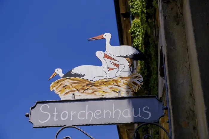 Gerahmter Druck : Nasenschutz, Storchennest, Störche Gerahmter Druck : Nasenschutz, Storchennest, Störche
