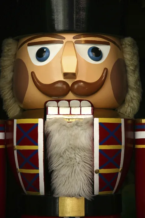 Gerahmter Druck : Nutcracker Gerahmter Druck : Nutcracker