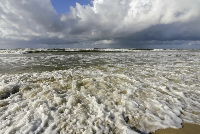 Gerahmter Druck : Meerstrand Gerahmter Druck : Meerstrand