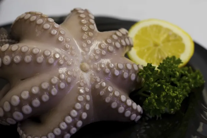 Gerahmter Druck : Oktopus auf dem Teller. Gerahmter Druck : Oktopus auf dem Teller.