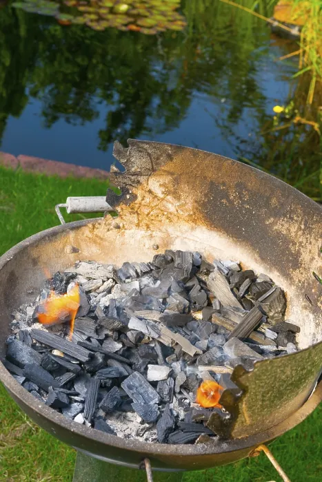 Gerahmter Druck : Altes Grillgerät Gerahmter Druck : Altes Grillgerät