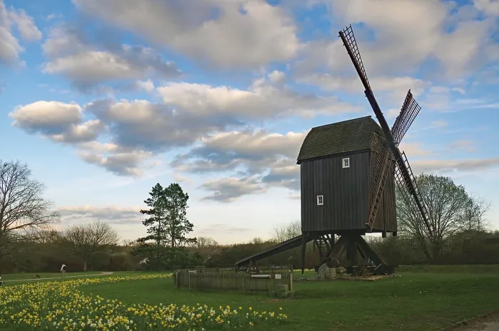 Gerahmter Druck : Altes Mühlengebäude, Tulpenfelder, Brückenwindmühle