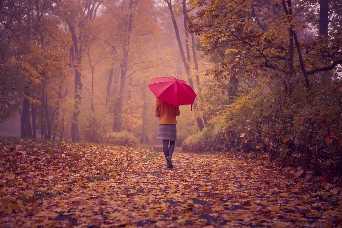 Gerahmter Druck : Alter Park im Herbst. Deutschland. Gerahmter Druck : Alter Park im Herbst. Deutschland.
