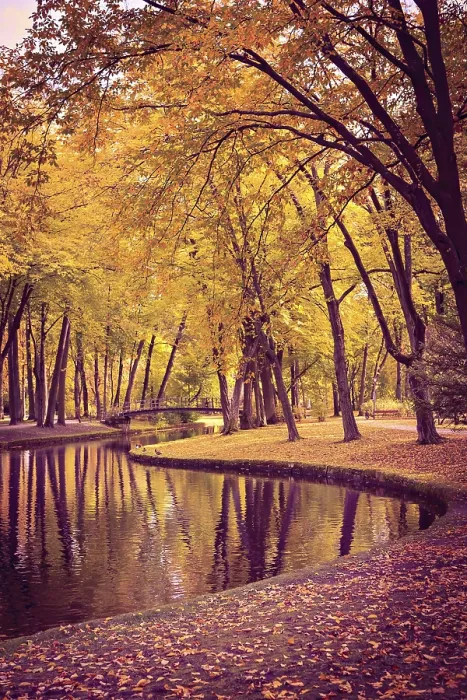Gerahmter Druck : Alter Park im Herbst. Deutschland