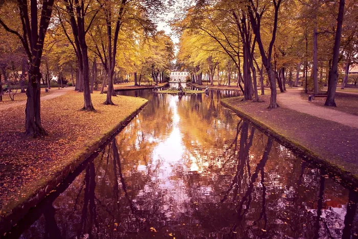 Gerahmter Druck : Altes Park in Herbst. Deutschland Gerahmter Druck : Altes Park in Herbst. Deutschland