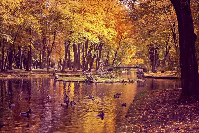Gerahmter Druck : Altes Park in Herbst. Deutschland Gerahmter Druck : Altes Park in Herbst. Deutschland