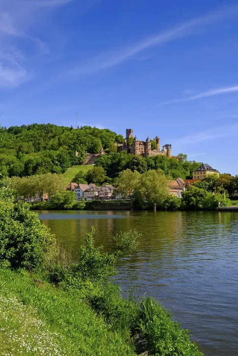 Gerahmter Druck : Alte Stadt mit Schloss über dem Main. Gerahmter Druck : Alte Stadt mit Schloss über dem Main.