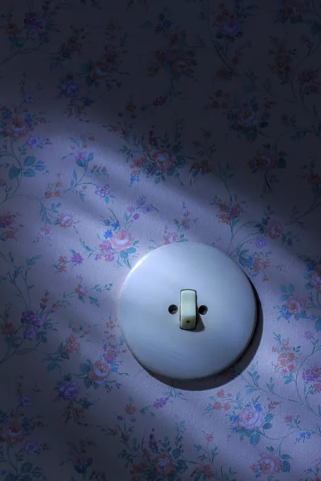 Gerahmter Druck : Ein altes Tapetenbild mit Lichtschalter. Gerahmter Druck : Ein altes Tapetenbild mit Lichtschalter.