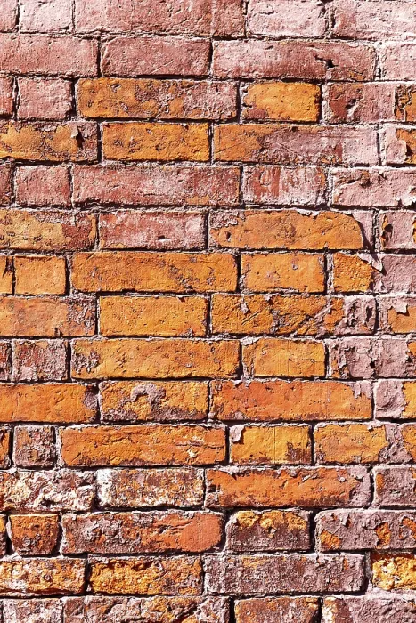 Gerahmter Druck : Gerahmter Druck :
