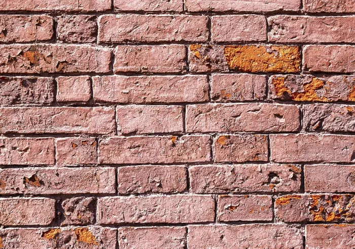 Gerahmter Druck : 