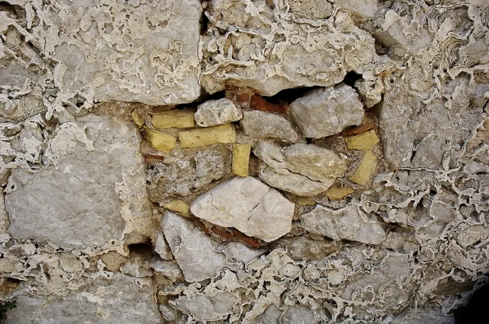 Gerahmter Druck : Verwitterter alter Wall, Detail. Gerahmter Druck : Verwitterter alter Wall, Detail.