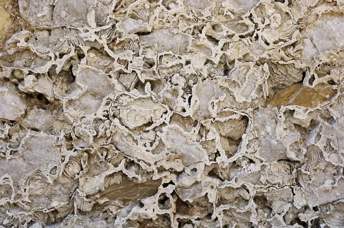 Gerahmter Druck : Alte verwitterte Mauer, Detail. Gerahmter Druck : Alte verwitterte Mauer, Detail.