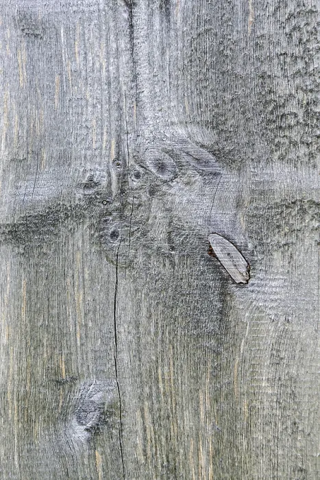 Gerahmter Druck : Alte Holztextur Gerahmter Druck : Alte Holztextur
