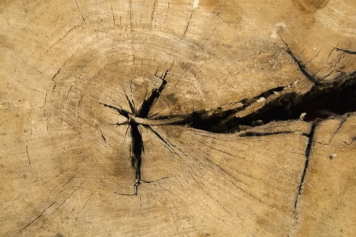 Gerahmter Druck : Alte Holztextur Gerahmter Druck : Alte Holztextur