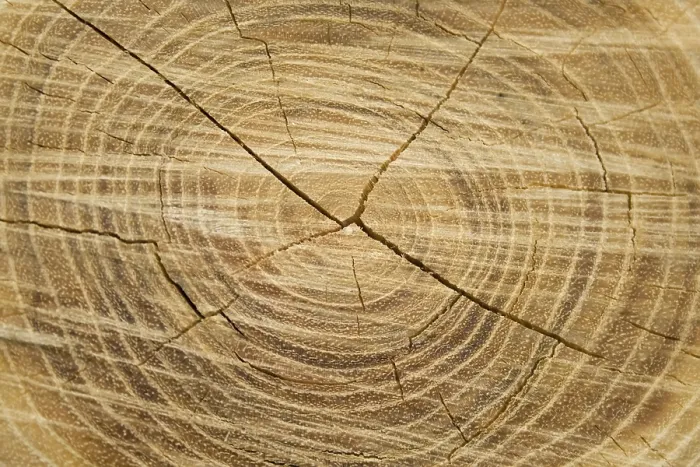 Gerahmter Druck : Alte Holztextur. Gerahmter Druck : Alte Holztextur.