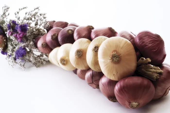 Gerahmter Druck : Onions Gerahmter Druck : Onions