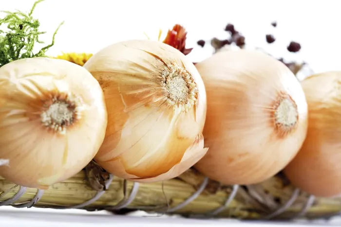 Gerahmter Druck : Onions Gerahmter Druck : Onions