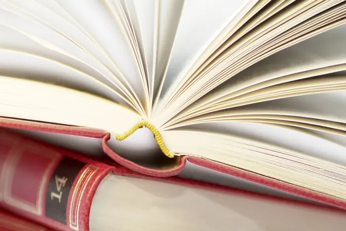 Gerahmter Druck : Offenes Buch Gerahmter Druck : Offenes Buch