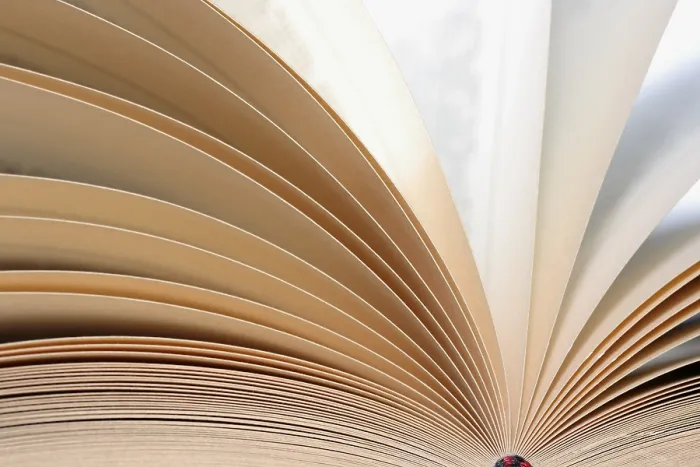 Gerahmter Druck : Offenes Buch, Seiten, Detail. Gerahmter Druck : Offenes Buch, Seiten, Detail.