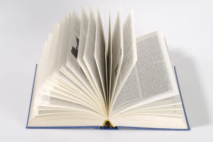 Gerahmter Druck : Das Buch geöffnet. Gerahmter Druck : Das Buch geöffnet.
