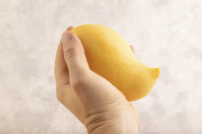 Gerahmter Druck : Orange Mango mit Hand auf Betonhintergrund. Gerahmter Druck : Orange Mango mit Hand auf Betonhintergrund.