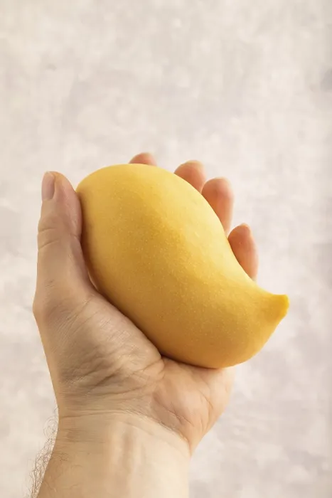 Gerahmter Druck : Orange Mango mit Hand auf Betonhintergrund. Gerahmter Druck : Orange Mango mit Hand auf Betonhintergrund.