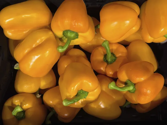Gerahmter Druck : Orange Paprikas (Capsicum) unverarbeitet. Gerahmter Druck : Orange Paprikas (Capsicum) unverarbeitet.