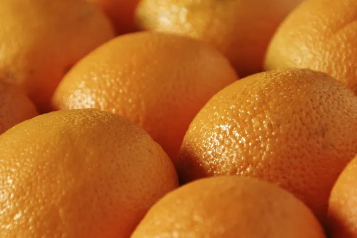 Gerahmter Druck : Oranges Gerahmter Druck : Oranges