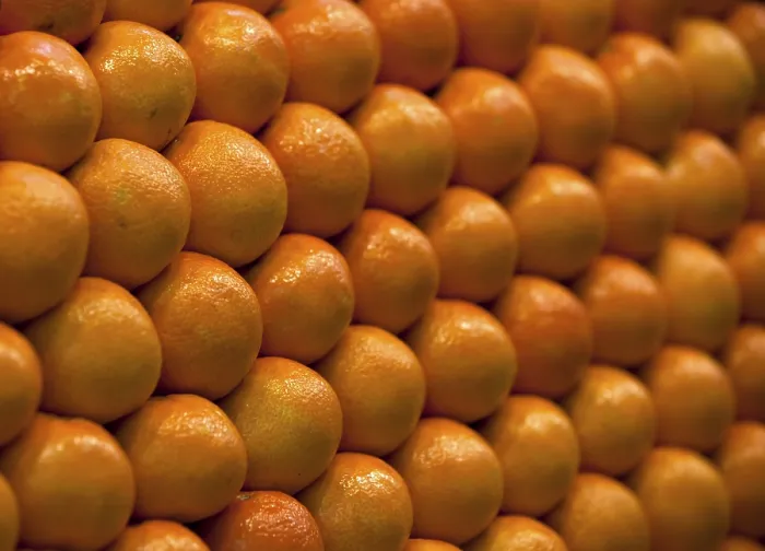 Gerahmter Druck : Oranges Gerahmter Druck : Oranges