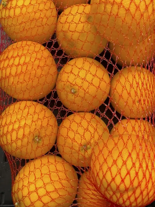 Gerahmter Druck : Orangen (Citrus sinensis) in Plastiknetzbeutel, aufgeführt in einem Lebensmittelhandelsladen. Gerahmter Druck : Orangen (Citrus sinensis) in Plastiknetzbeutel, aufgeführt in einem Lebensmittelhandelsladen.
