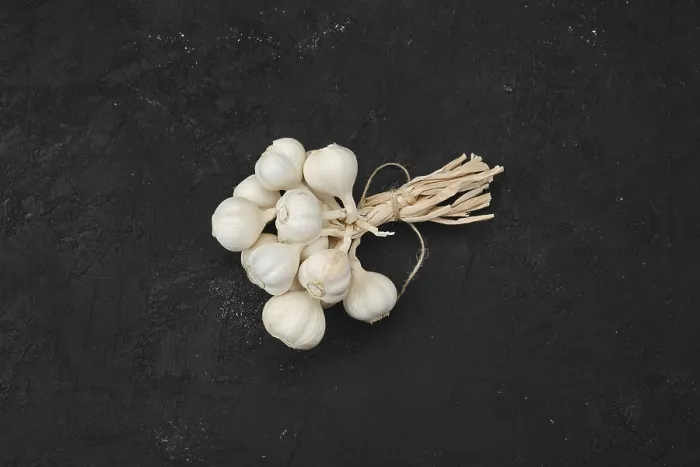 Gerahmter Druck : Überblicksansicht einer Bündel Knoblauch auf dunklem Hintergrund. Gerahmter Druck : Überblicksansicht einer Bündel Knoblauch auf dunklem Hintergrund.