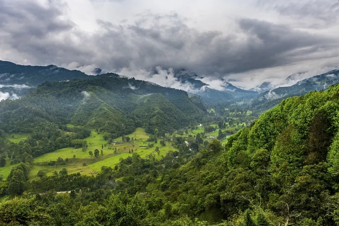 Gerahmter Druck : Übersehen Sie über den Valle de Cocora. Gerahmter Druck : Übersehen Sie über den Valle de Cocora.