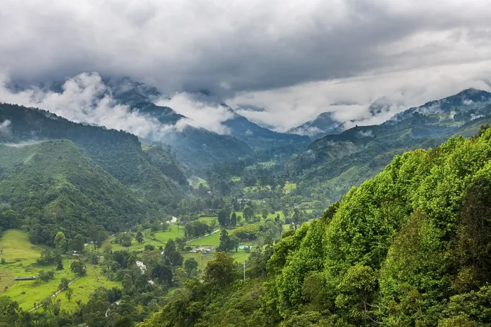 Gerahmter Druck : Übersehen Sie den Valle de Cocora. Gerahmter Druck : Übersehen Sie den Valle de Cocora.