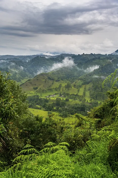 Gerahmter Druck : Übersehen Sie den Valle de Cocora. Gerahmter Druck : Übersehen Sie den Valle de Cocora.