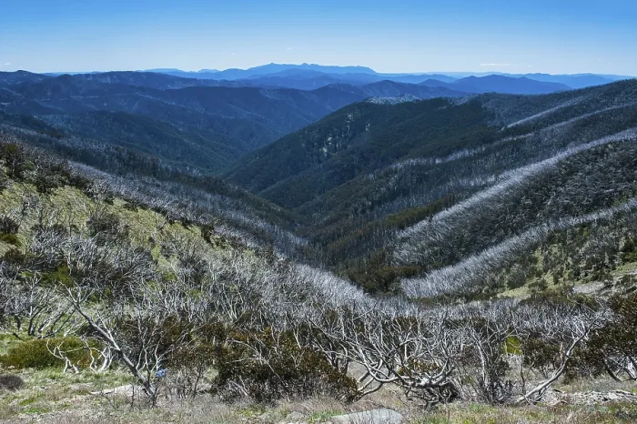 Gerahmter Druck : Überblickend die Viktorianischen Alpen-Bergkette. Gerahmter Druck : Überblickend die Viktorianischen Alpen-Bergkette.