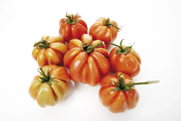 Gerahmter Druck : Oxherzige Tomaten Gerahmter Druck : Oxherzige Tomaten