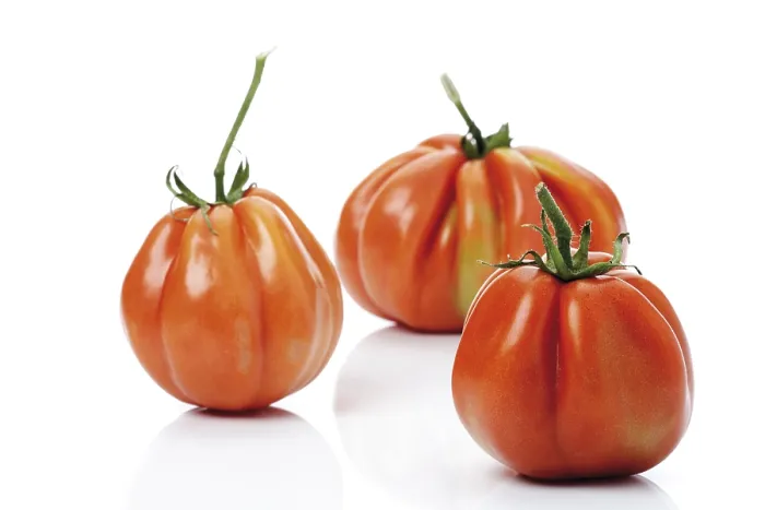 Gerahmter Druck : Oxheart-Tomaten Gerahmter Druck : Oxheart-Tomaten