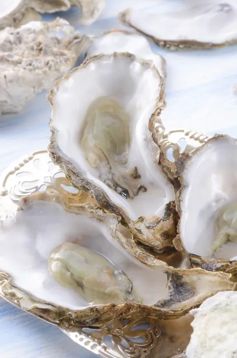 Gerahmter Druck : Oysters Gerahmter Druck : Oysters